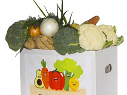 Овощная коробка для дома