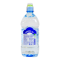 Вода питьевая Шишкин лес Спорт негазированная 0,65 л