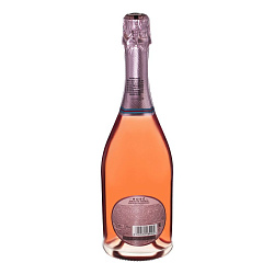 Вино игристое Martini Rose полусухое розовое 10% 0,75 л Италия